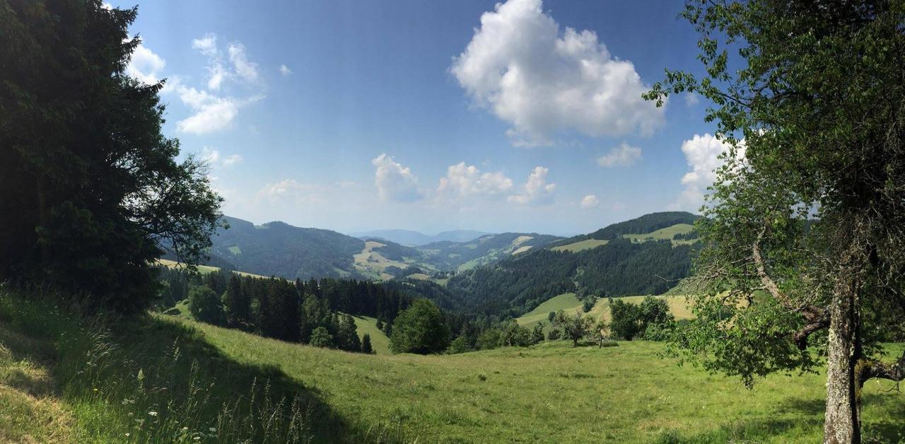 加斯特霍夫古特曼酒店 Eberstein 外观 照片